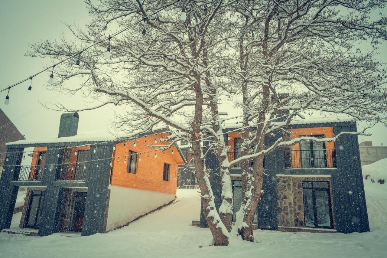 Villa In Didveli *